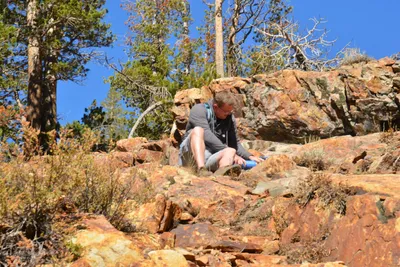 DSC_7848 (Large).JPG